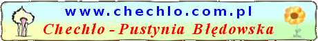 Chechło - PUSTYNIA BŁĘDOWSKA